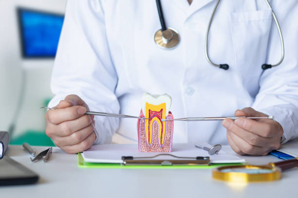 Best Emergency Care for Gum Disease in Vega, TX